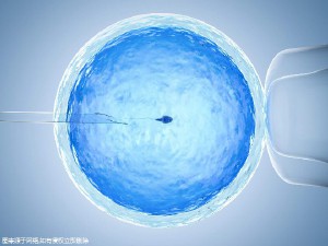 副院长